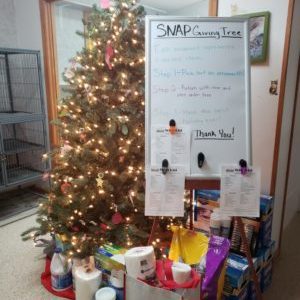 SNAP Giving Tree