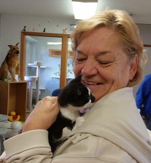A woman holding a black and white kitten in her arms.