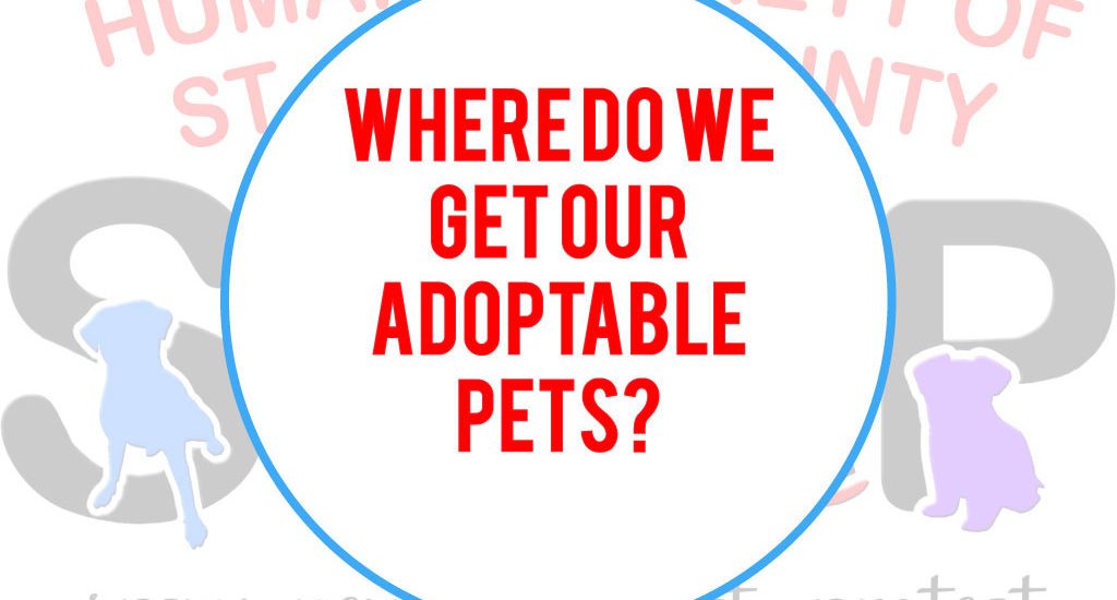 A logo of where do we get our adoptable pets