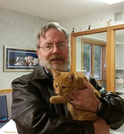 A man holding an orange cat in an office.