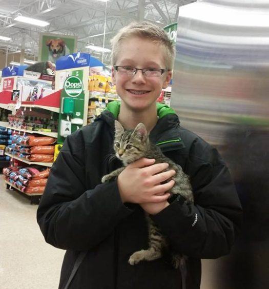 A boy holding a cat in a grocery store.