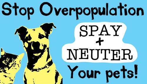 A poster of stop overpopulation with dogs on it