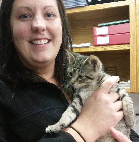 A woman holding a kitten in an office.