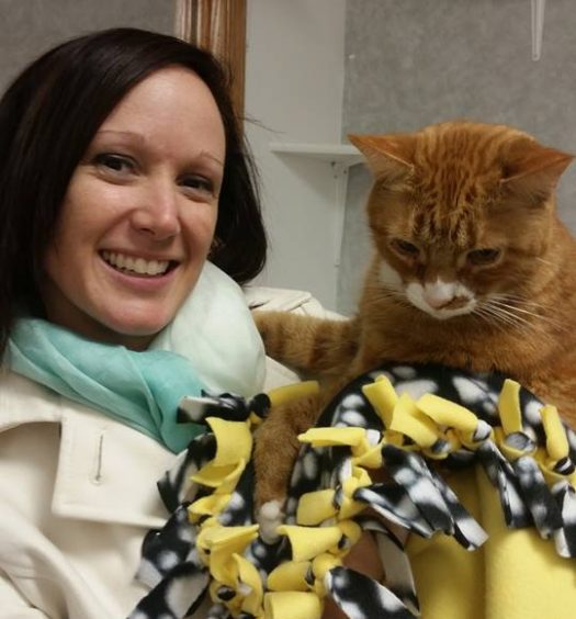 A woman holding an orange cat in a yellow blanket.