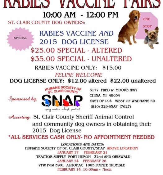 2015 Rabies vaccine fairs Poster