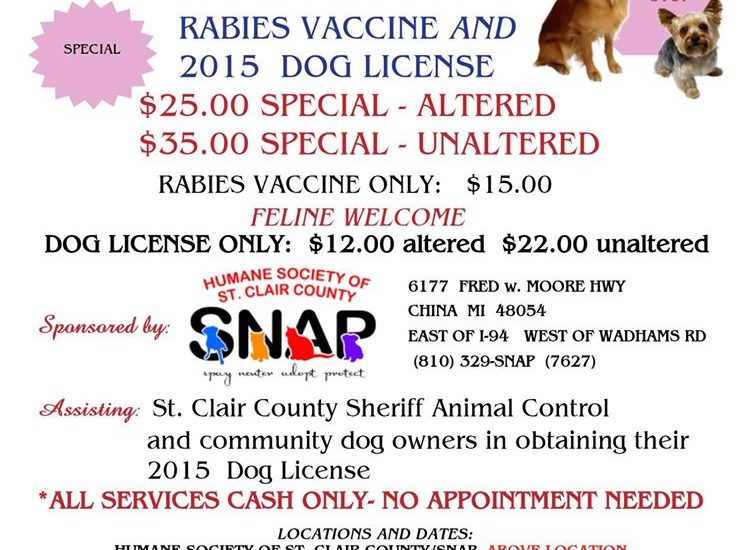2015 Rabies vaccine fairs Poster