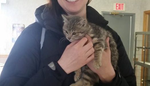 Cherry Adopted!