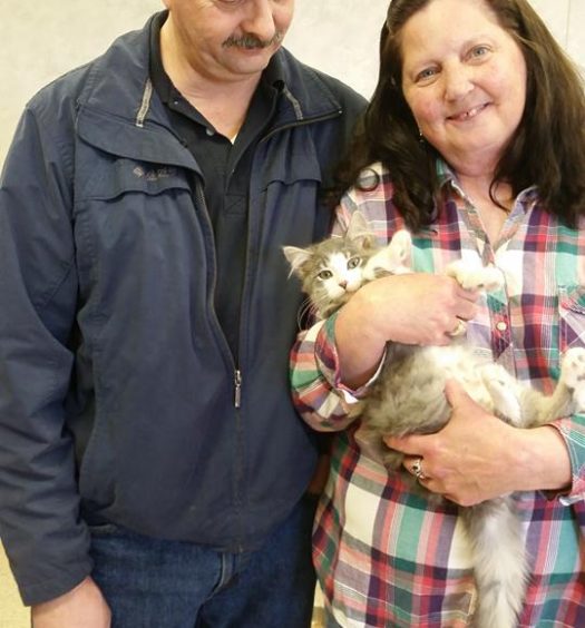A man and woman holding a cat in a room.