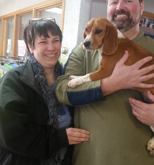 A man and woman holding a beagle in a store.