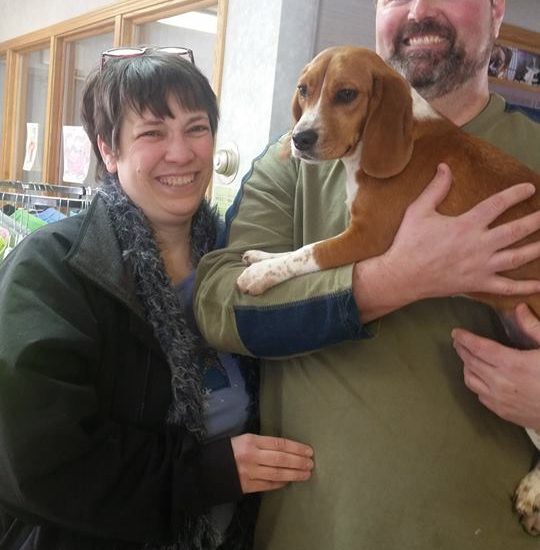 A man and woman holding a beagle in a store.