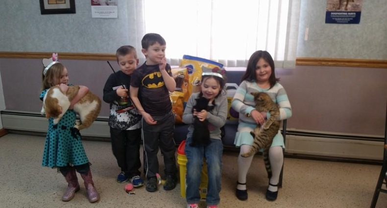 Five kids holding cats sitting on chair