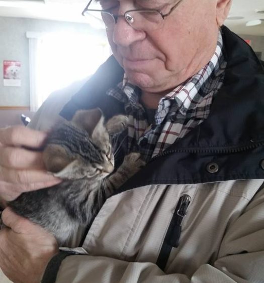 An older man holding a kitten in his arms.