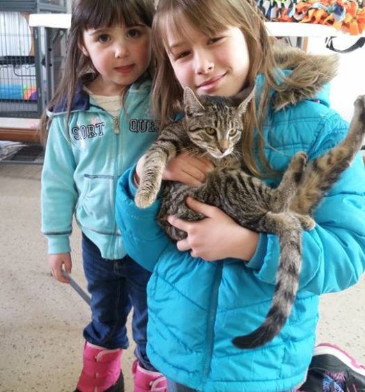 Two girls holding a cat in a room.