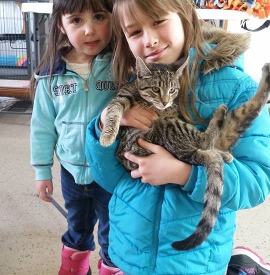 Two girls holding a cat in a room.