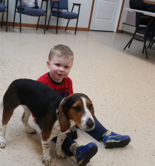 A young boy sitting on the floor with a beagle.