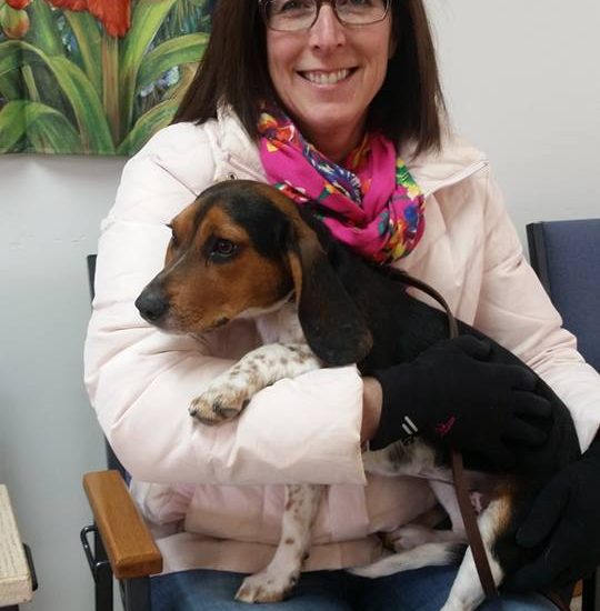 A woman sitting in a chair holding a beagle.