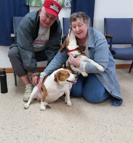 Two people posing for a photo with two beagles.