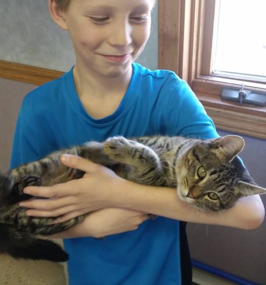 A young boy holding a tabby cat in his arms.