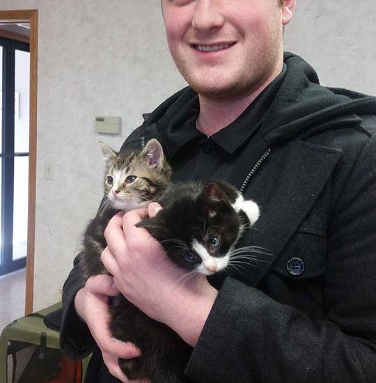 A man holding two kittens.