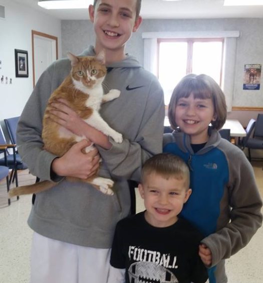 Three boys and a cat standing in a room.