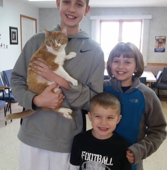 Three boys and a cat standing in a room.