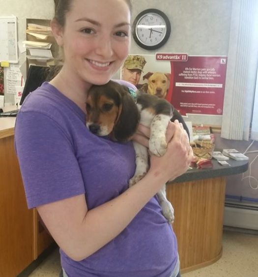 A woman holding a beagle puppy in a store.