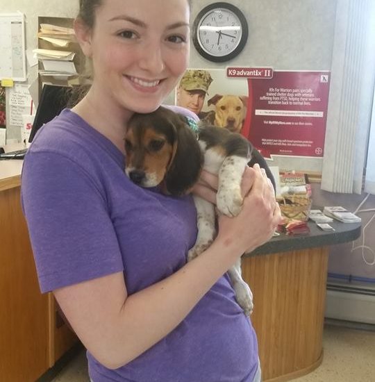A woman holding a beagle puppy in a store.
