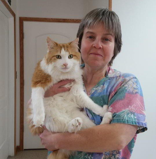 A woman holding an orange and white cat in a room.