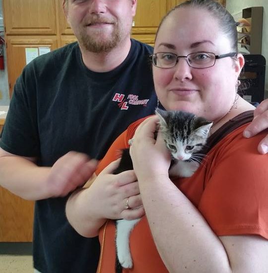 A man and woman holding a cat in a kitchen.