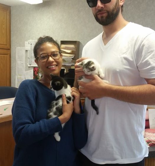 A man and woman holding kittens in an office.
