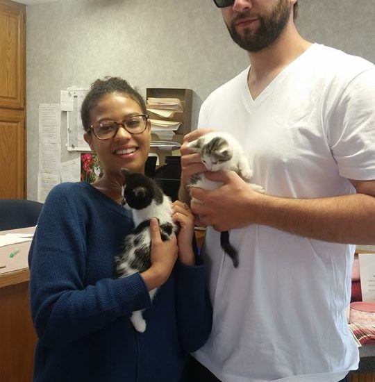 A man and woman holding kittens in an office.