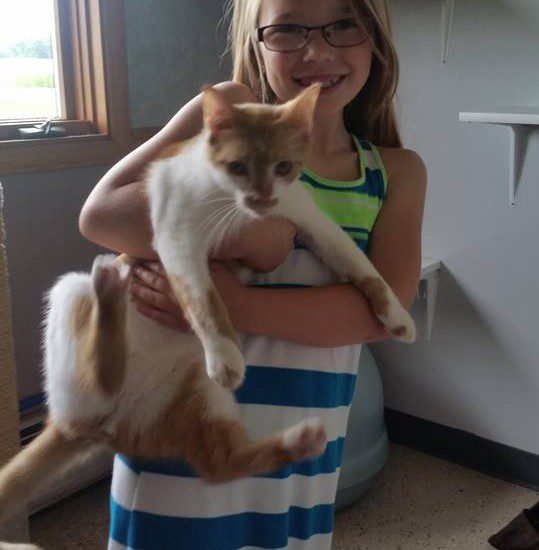 A small girl holding a white and brown cat