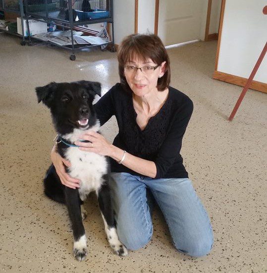 A woman kneeling on the floor with a black and white dog.
