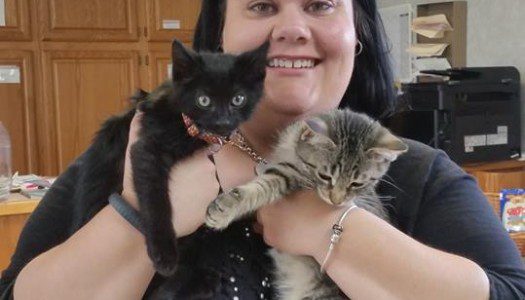 Crackers & Tsunami Adopted Together!