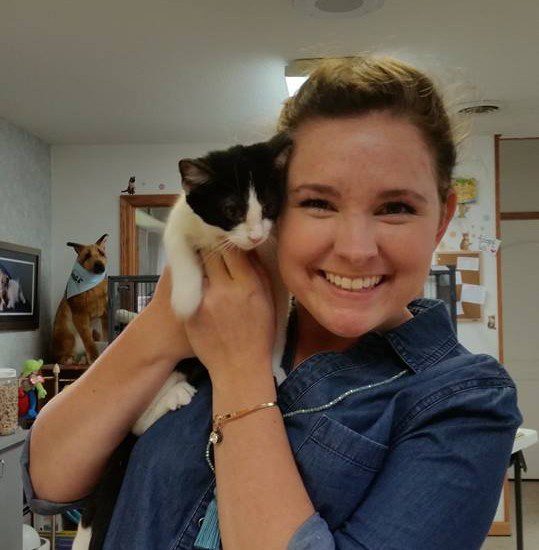 A woman holding a black and white cat in an office.