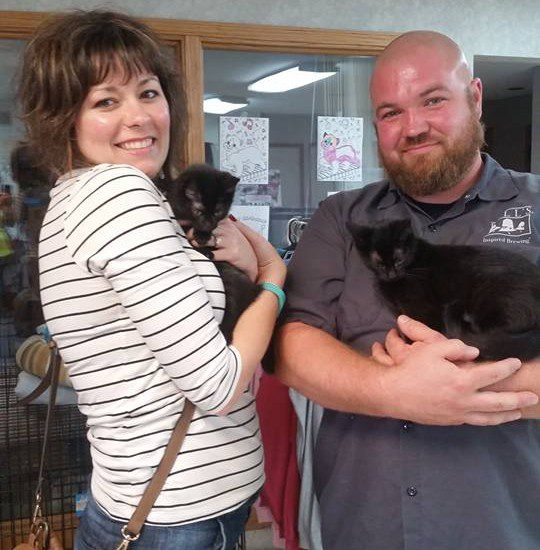 A man and woman holding two black kittens.