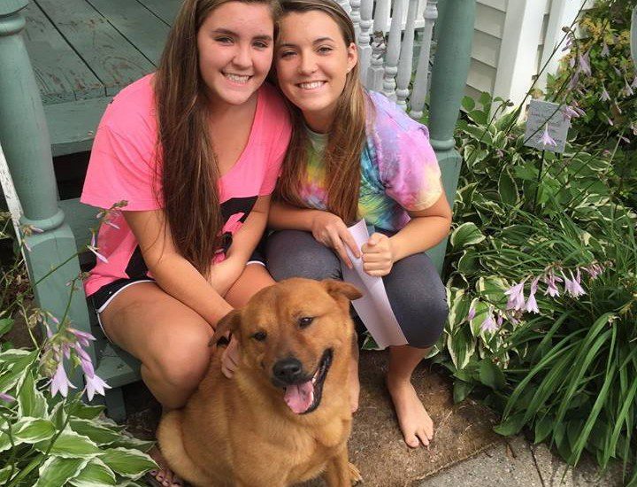 Two girls sitting on the porch with a brown dog.