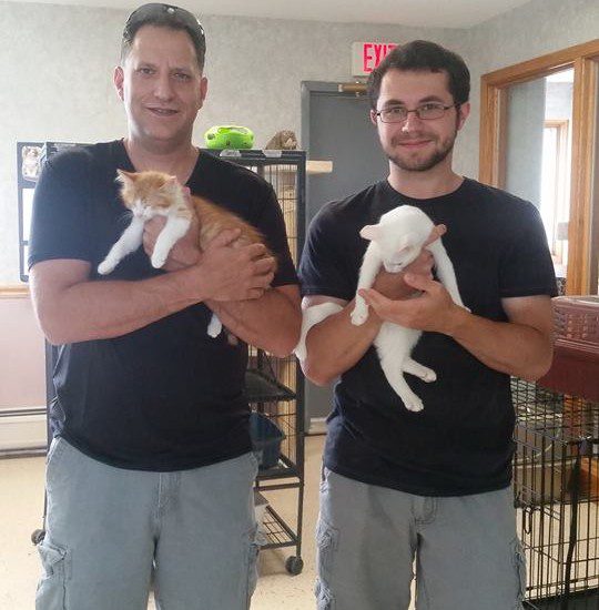 Two men holding kittens in a kennel.