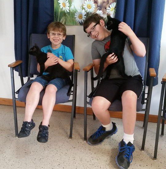 Two boys sitting in chairs with a black cat.