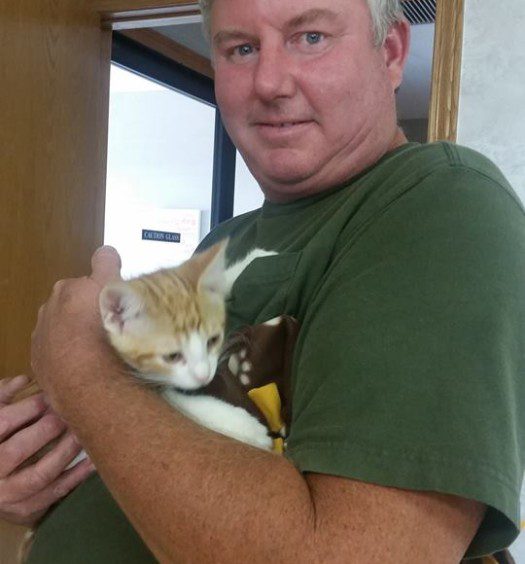 A man holding a cat in a green shirt.