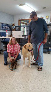 A man and woman posing for a photo with their dogs.