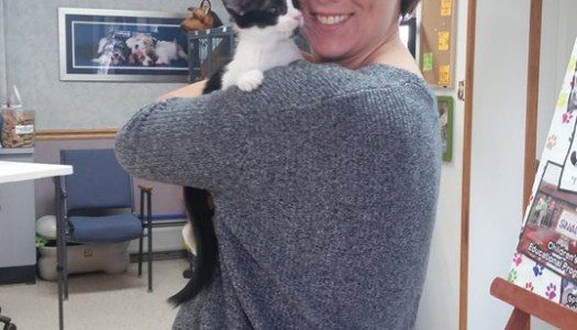Gypsy Adopted!