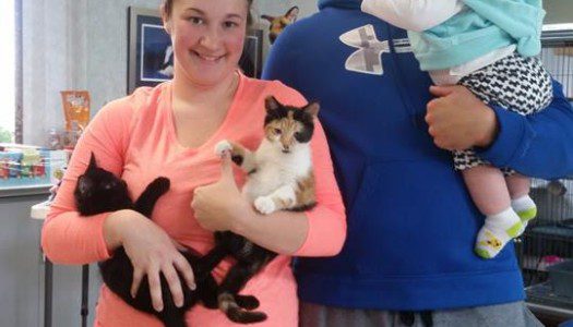 Double Kitty Adoption – Yay!
