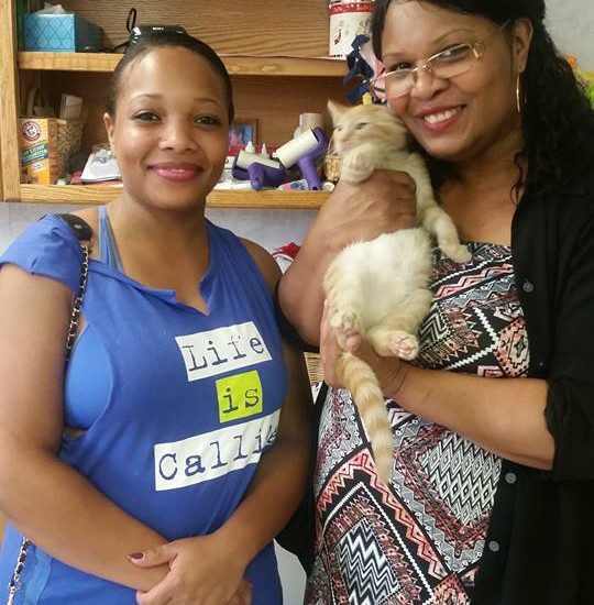 Two women standing next to a cat in a store.