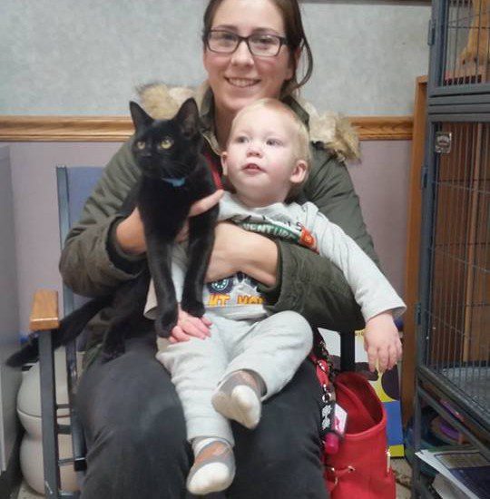 A woman sitting in a chair holding a black cat and a baby.