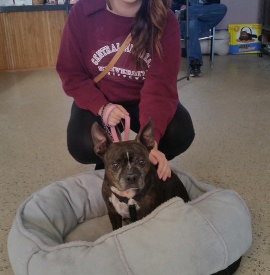 A woman posing with a dog in a dog bed.