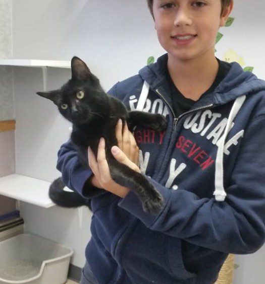 A young boy holding a black cat.