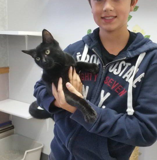 A young boy holding a black cat.
