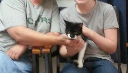 “Opie” Found a great Family!