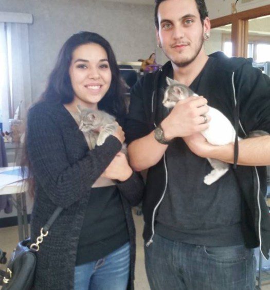 A man and woman holding two kittens in a room.